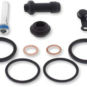 Caliper Rebuild Kit (3004)