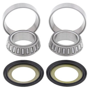 Steering Bearing Kit (1007)