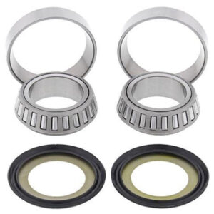 Steering Bearing Kit (1009)