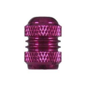 Tyre Standard Valve Cap (Set)