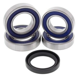 Wheel Bearing Kit (1707) - Rear