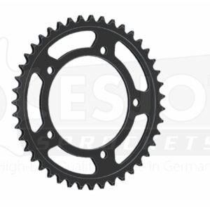 Sprockets Rear (29024 - 41T) - Esjot ( 525 Pitch)