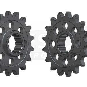 Sprockets Front (29036-15T) - Esjot